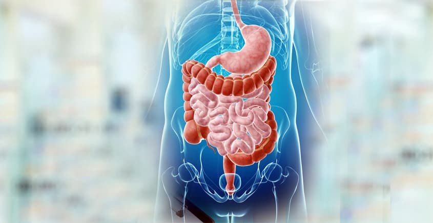 Diyabet (Şeker Hastalığı) Hakkında Bilmeniz Gereken Her Şey